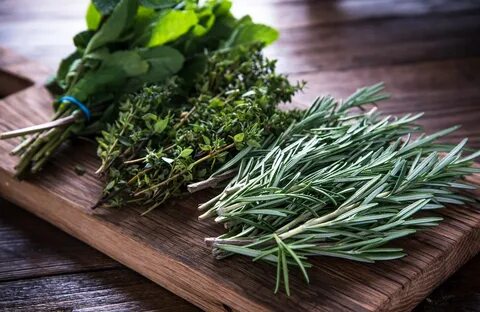 خرید سبزی ترخون خشک با تضمین کیفیت و قیمت